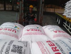 Wacana BLT Pupuk Ditolak DPR hingga Petani