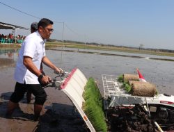 FAO Tetapkan Agroforestri Salak Indonesia Sebagai Warisan Pertanian Dunia