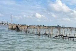 Pelaku Pemagaran Laut Belum Juga Diketahui, Negara Dituding Kalah Oleh Oligarki