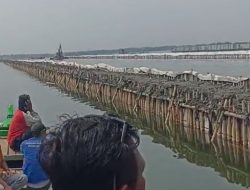 Pengamat: Kemunculan Pagar  Laut Bukti Lemahnya Pengawasan Pemerintah Pusat