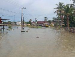 Parah! Banjir di Dusun Labalubu Tak Pernah Surut Selama Setahun, Pemerintah Kemana Ya?