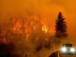 Menganalisa Tragedi LA Dalam Perspektif Pancasila