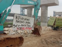 Petani Gagal Panen Akibat Pembangunan Tol Japek II
