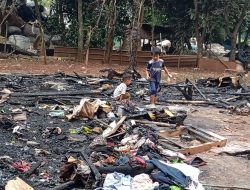 Gubuk Pemulung di Dekat TPA Sumur Batu Ludes Terbakar