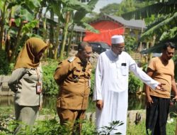 Bang Juaini Terjun Langsung Pantau Kesehatan Hewan Qurban di Jakut