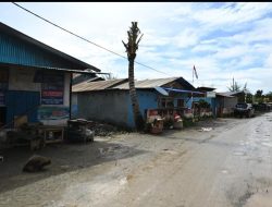 Komitmen PT Harita Nickel Wujudkan Transformasi Desa Kawasi Menuju Ecovillage Berstandar Internasional