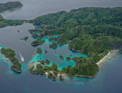 Rudapaksa Wilayah Aceh: Perspektif P0litik dan Asas Ekonomi Carpedium