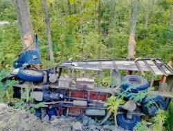 Truk Bermuatan Kayu Terperosok di Kawasan Perhutani Sukabumi, Sopir Tewas di Tempat