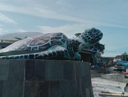 Patung Penyu Viral Kembali Mejeng di Palabuhanratu, Tampil Lebih Kokoh Tak Lagi Pakai Kardus