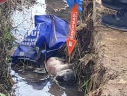 Penemuan Jasad Bayi Mengambang di Selokan Sawah Gegerkan Warga Cisaat, Sukabumi