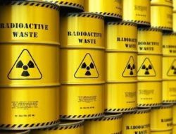 IAW: Dari Produk Udang ke Rempah Lahir Alarm Nuklir Internasional untuk Indonesia