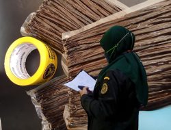 Ekspor Vanili Bali Melonjak