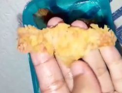 Heboh Siswa Temukan Plester Bekas Luka di Menu MBG