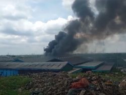 PT Pengolahan Limbah Industri Bekasi Kebakaran, Pakar Desak KLH Bekukan Izin