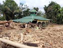 Potret Buram Tatakelola Negara: Rakyat Disikat Hutan Dilumat