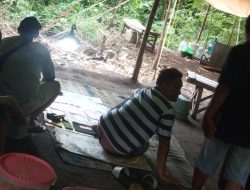 Dugaan Praktik Perjudian di Dusun Ngreco Jadi Sorotan Masyarakat, Polisi Desak  Segera Bertindak