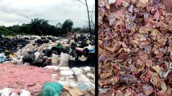 Potongan Kertas Diduga Cacahan Uang Rupiah Berserakan di TPS Liar