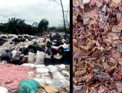 Potongan Kertas Diduga Cacahan Uang Rupiah Berserakan di TPS Liar