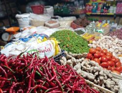 Catatan Ihwal Pengumuman Swasembada Pangan