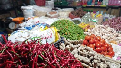 Catatan Ihwal Pengumuman Swasembada Pangan