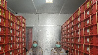 Jelang Imlek, Ekspor Manggis Bali ke Tiongkok Meningkat Signifikan