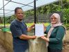 Inovasi PLTS ITPLN Dongkrak Nilai Jual Hasil Tani di Cianjur Lewat Smart Integrated Farming