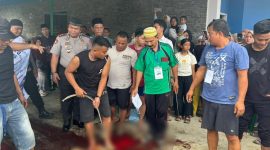 Proses penyembelihan hewan kurban di Nias Selatan