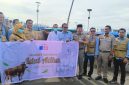 PT JOE menyalurkan dua sapi kurban untuk masyarakat Pulau Sabira dan Pulau Tidung di Kepulauan Seribu menjelang Idul Adha 1447 Hijriah.