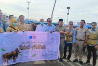 PT JOE menyalurkan dua sapi kurban untuk masyarakat Pulau Sabira dan Pulau Tidung di Kepulauan Seribu menjelang Idul Adha 1447 Hijriah.