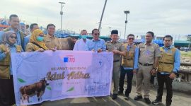 PT JOE menyalurkan dua sapi kurban untuk masyarakat Pulau Sabira dan Pulau Tidung di Kepulauan Seribu menjelang Idul Adha 1447 Hijriah.