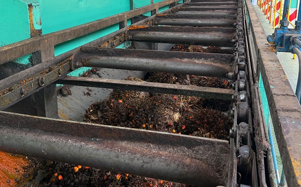 Peningkatan produksi dan ekspor sawit Indonesia mendorong kenaikan kebutuhan komponen industri pengolahan CPO seperti conveyor chain, sprocket, dan sistem transmisi.
