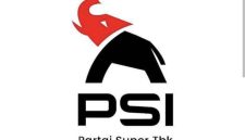 Logo Partai Solideritas Indonesia (Foto: Ist)