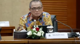 Dirjen Bea Cukai Djaka Budi Utama (Foto: Ist)