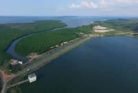 Pulau Rempang (Foto: bisnis.com)