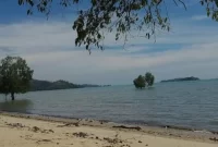 Pulau Rempang (Ist)