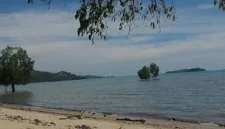Pulau Rempang (Ist)