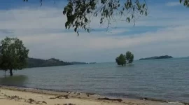 Pulau Rempang (Ist)