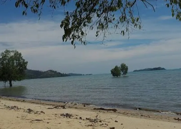 Pulau Rempang (Ist)