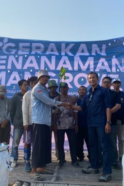 Usia 14 Tahun, IWO Mengisi Kegiatan Dengan Tanam Ribuan Mangrove