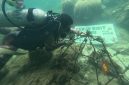 Proses penanaman terumbu karang untuk konservasi alam di Pulau Sabira.