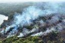 Kepulasn asap di sejumlah titik di Kalimantan (Foto: Antara)