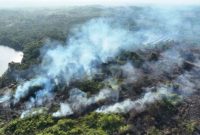 Kepulasn asap di sejumlah titik di Kalimantan (Foto: Antara)