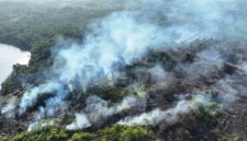 Kepulasn asap di sejumlah titik di Kalimantan (Foto: Antara)