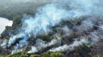 Kepulasn asap di sejumlah titik di Kalimantan (Foto: Antara)