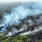Kepulasn asap di sejumlah titik di Kalimantan (Foto: Antara)