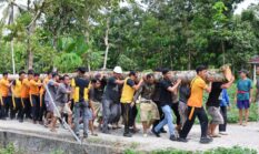 Polres Nisel dan Pemcam Onolalu Gotong Royong Perbaiki Jembatan Sungai Demba