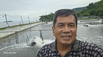 Praktisi udang nasional, Dr. Ir. Hasanuddin Atjo. (Foto: Ist)