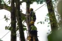 PT NSHE memperkuat konservasi lingkungan dengan menambah jembatan arboreal di PLTA Batangtoru demi menjaga konektivitas habitat dan keselamatan satwa liar.
