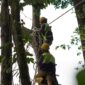 PT NSHE memperkuat konservasi lingkungan dengan menambah jembatan arboreal di PLTA Batangtoru demi menjaga konektivitas habitat dan keselamatan satwa liar.