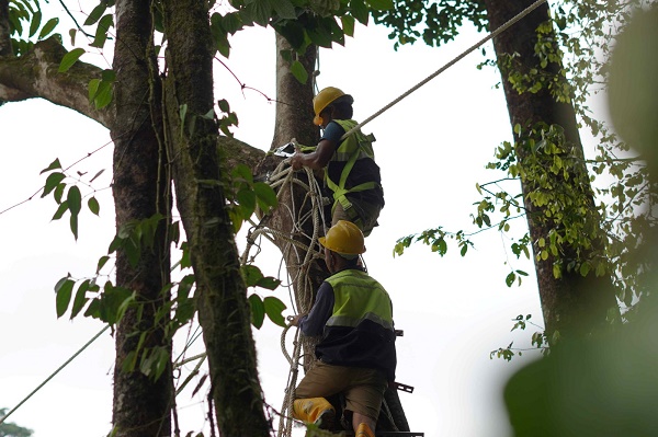 PT NSHE memperkuat konservasi lingkungan dengan menambah jembatan arboreal di PLTA Batangtoru demi menjaga konektivitas habitat dan keselamatan satwa liar.